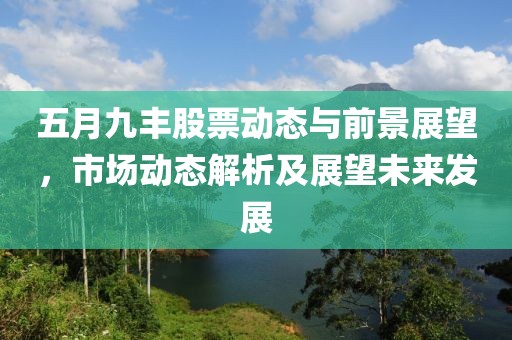五月九丰股票动态与前景展望，市场动态解析及展望未来发展