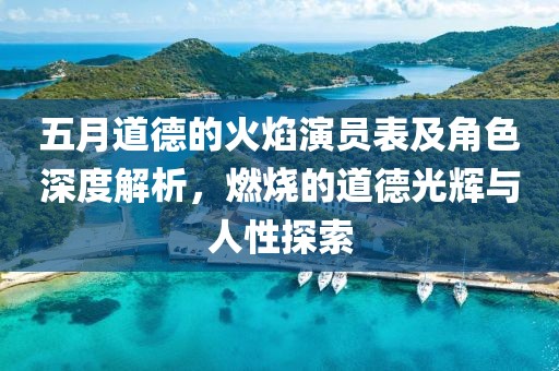 五月道德的火焰演员表及角色深度解析，燃烧的道德光辉与人性探索