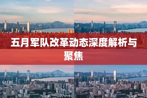 五月军队改革动态深度解析与聚焦