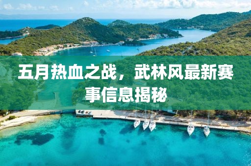 五月热血之战，武林风最新赛事信息揭秘