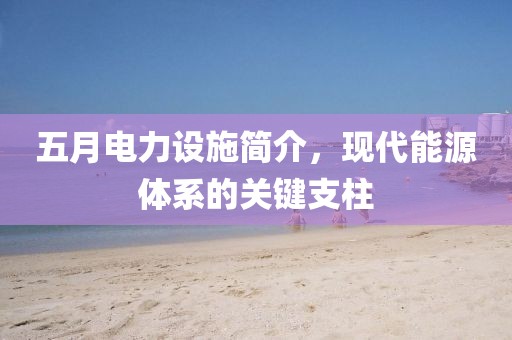 五月电力设施简介，现代能源体系的关键支柱