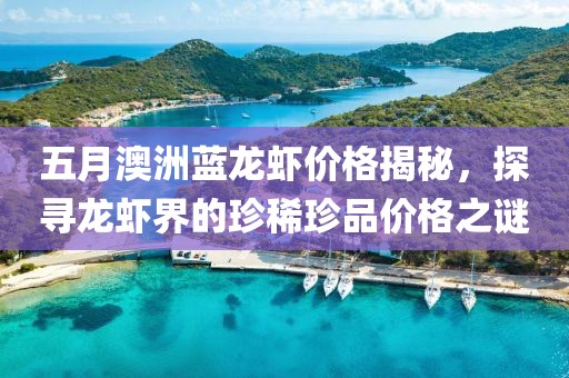 五月澳洲蓝龙虾价格揭秘，探寻龙虾界的珍稀珍品价格之谜