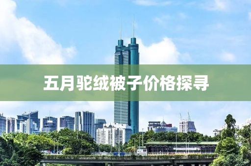 五月驼绒被子价格探寻