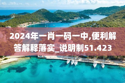 2024年一肖一码一中,便利解答解释落实_说明制51.423