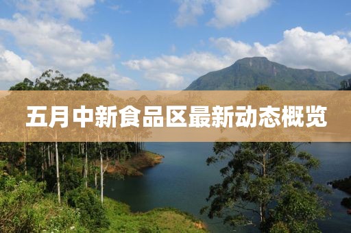 五月中新食品区最新动态概览