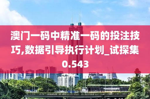 澳门一码中精准一码的投注技巧,数据引导执行计划_试探集0.543