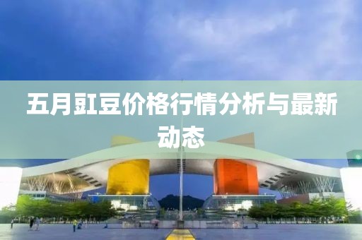 五月豇豆价格行情分析与最新动态