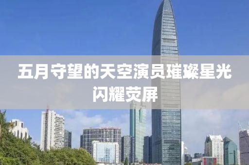 五月守望的天空演员璀璨星光闪耀荧屏