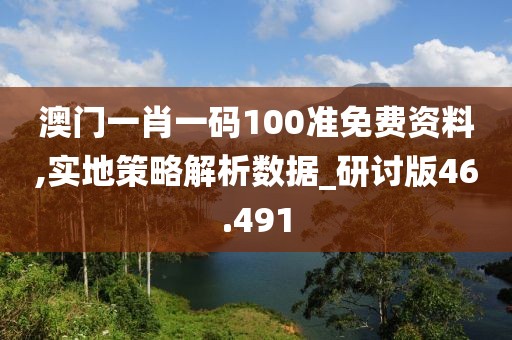 澳门一肖一码100准免费资料,实地策略解析数据_研讨版46.491
