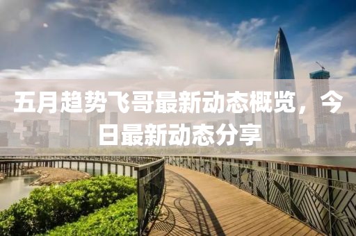 五月趋势飞哥最新动态概览，今日最新动态分享