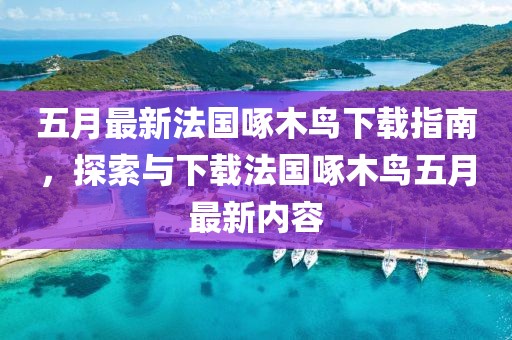五月最新法国啄木鸟下载指南，探索与下载法国啄木鸟五月最新内容
