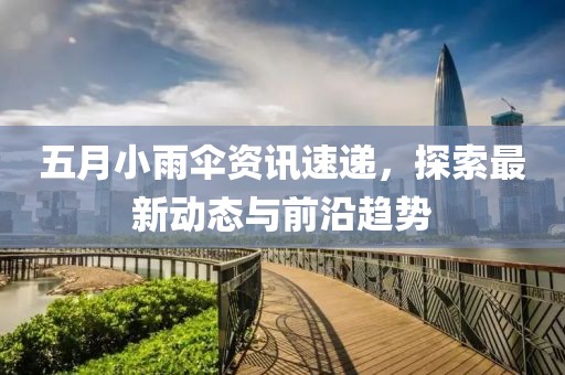 五月小雨伞资讯速递，探索最新动态与前沿趋势