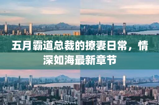 五月霸道总裁的撩妻日常，情深如海最新章节