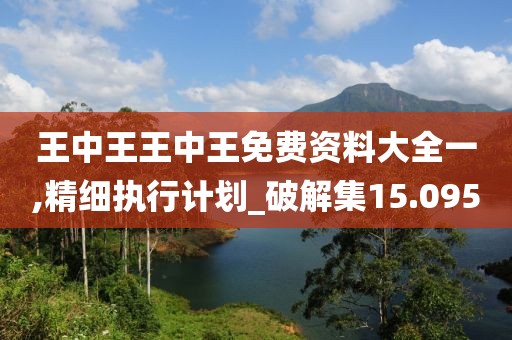 王中王王中王免费资料大全一,精细执行计划_破解集15.095