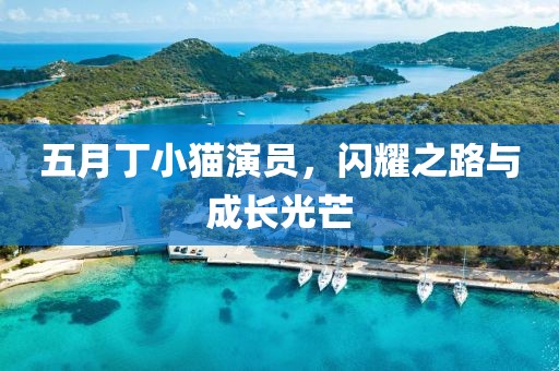 五月丁小猫演员，闪耀之路与成长光芒