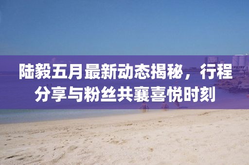 陆毅五月最新动态揭秘，行程分享与粉丝共襄喜悦时刻