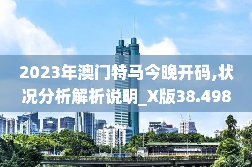 2023年澳门特马今晚开码,状况分析解析说明_X版38.498