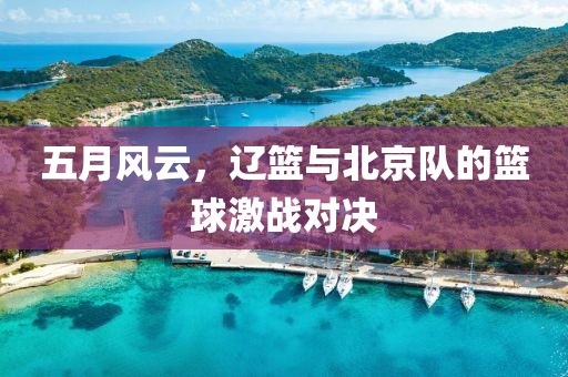 五月风云，辽篮与北京队的篮球激战对决