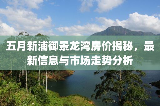 五月新浦御景龙湾房价揭秘，最新信息与市场走势分析