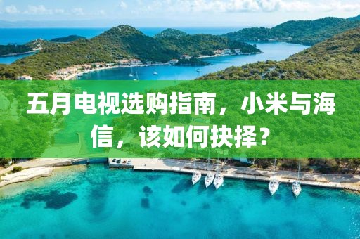 五月电视选购指南，小米与海信，该如何抉择？