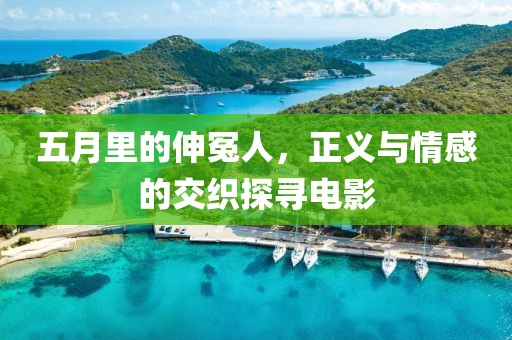 五月里的伸冤人，正义与情感的交织探寻电影
