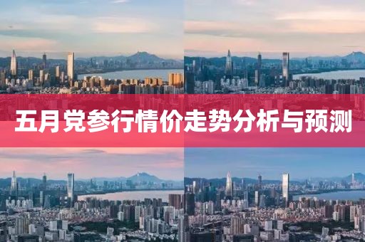 五月党参行情价走势分析与预测