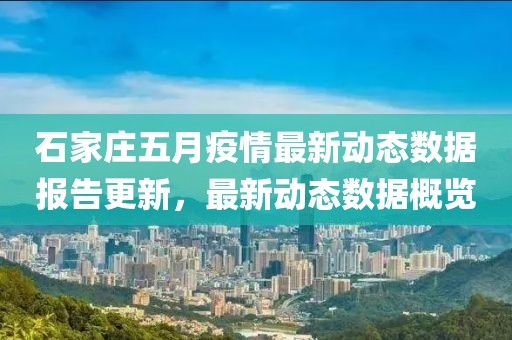 石家庄五月疫情最新动态数据报告更新，最新动态数据概览