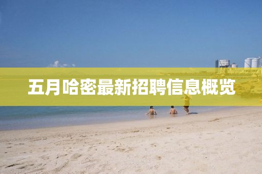 五月哈密最新招聘信息概览