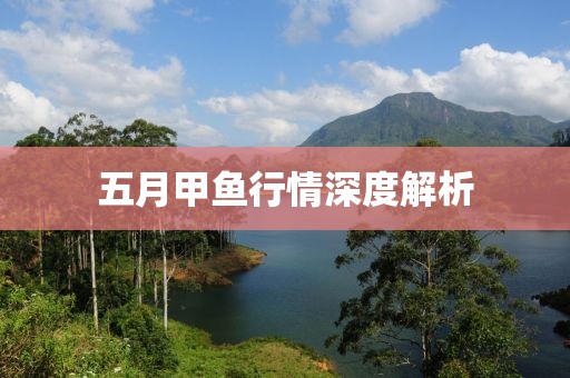 五月甲鱼行情深度解析