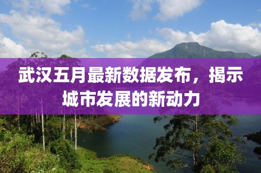 武汉五月最新数据发布，揭示城市发展的新动力