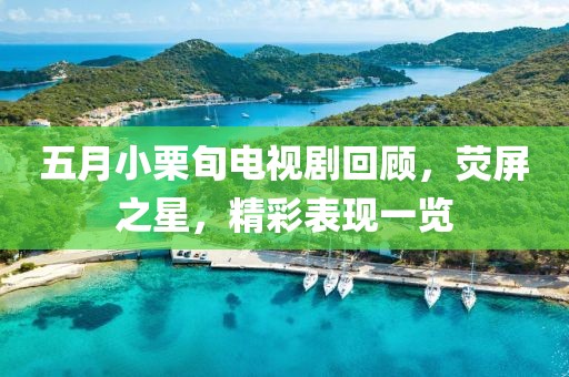 五月小栗旬电视剧回顾，荧屏之星，精彩表现一览
