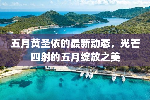 五月黄圣依的最新动态，光芒四射的五月绽放之美