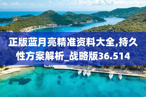 正版蓝月亮精准资料大全,持久性方案解析_战略版36.514