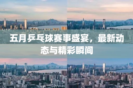 五月乒乓球赛事盛宴，最新动态与精彩瞬间