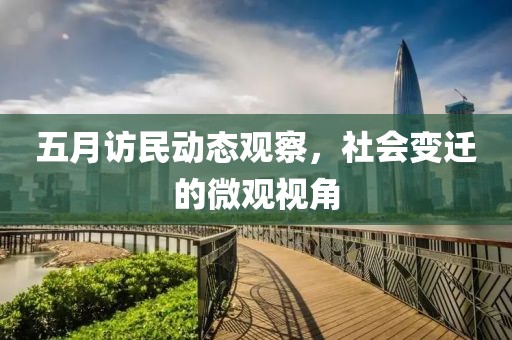 五月访民动态观察，社会变迁的微观视角