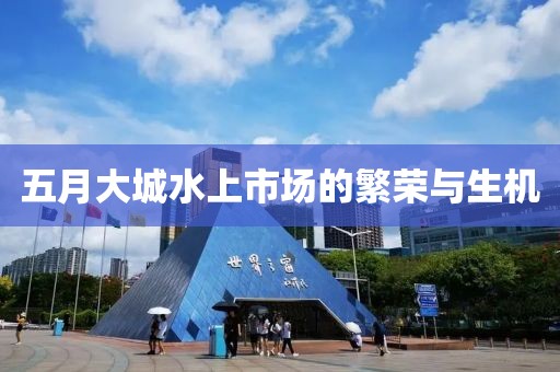 五月大城水上市场的繁荣与生机
