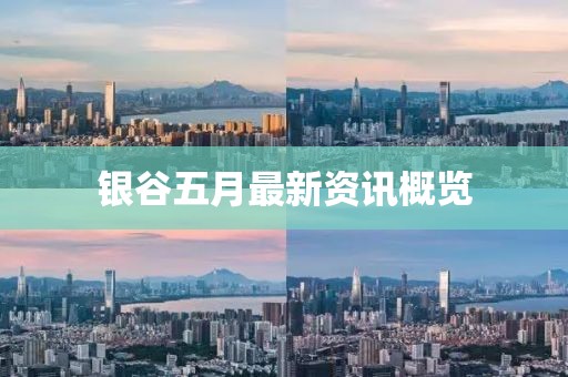 银谷五月最新资讯概览