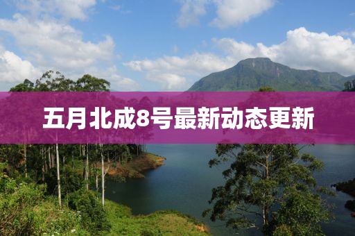 五月北成8号最新动态更新