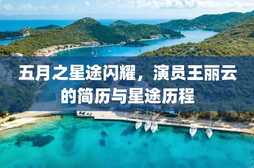 五月之星途闪耀，演员王丽云的简历与星途历程