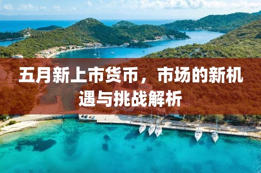 五月新上市货币，市场的新机遇与挑战解析