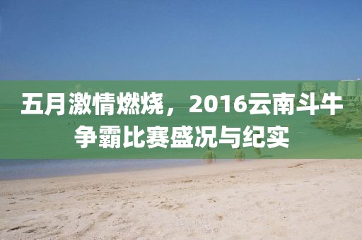 五月激情燃烧，2016云南斗牛争霸比赛盛况与纪实