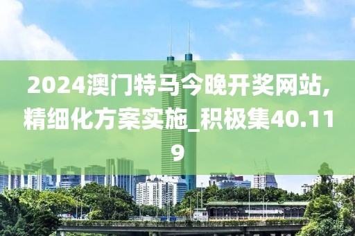 2024澳门特马今晚开奖网站,精细化方案实施_积极集40.119