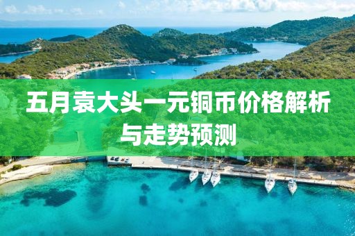 五月袁大头一元铜币价格解析与走势预测