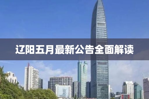 辽阳五月最新公告全面解读