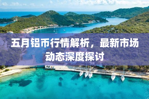 五月铝币行情解析，最新市场动态深度探讨