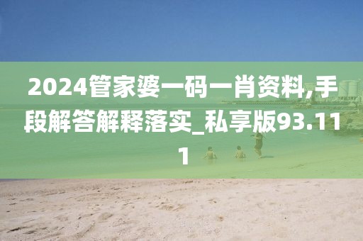 2024管家婆一码一肖资料,手段解答解释落实_私享版93.111