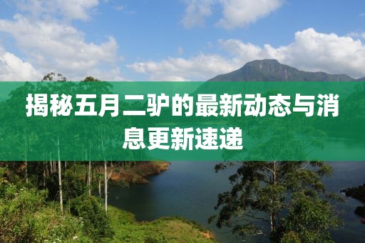 揭秘五月二驴的最新动态与消息更新速递