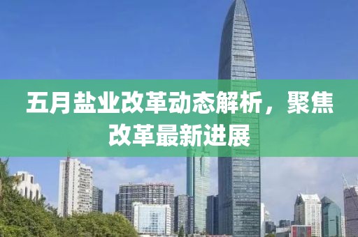 五月盐业改革动态解析，聚焦改革最新进展