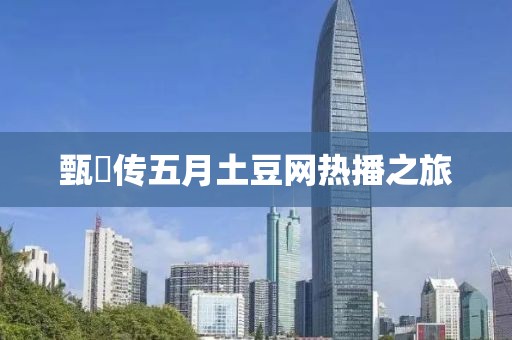 甄嬛传五月土豆网热播之旅