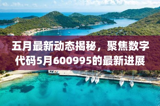 五月最新动态揭秘，聚焦数字代码5月600995的最新进展